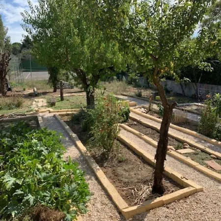 Проживание в семье Terralha *