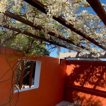 Terralha Проживание в семье