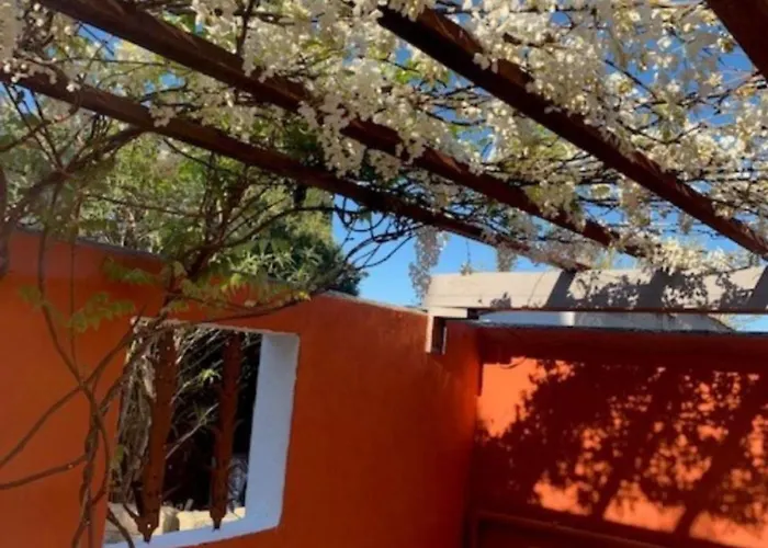 Terralha ホームステイ